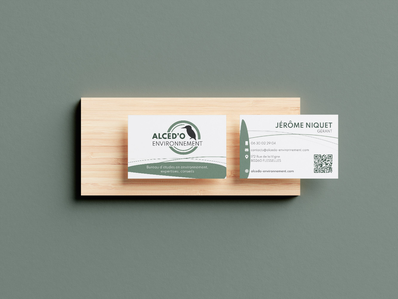 Cartes de visite Alced'o Environnement - Portfolio Creative Screen web designer freelance Médoc